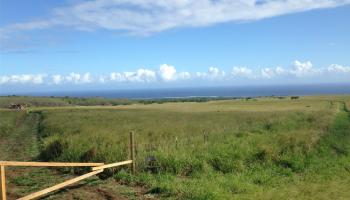 0 N/A Road  Naalehu, Hi vacant land for sale - photo 1 of 20