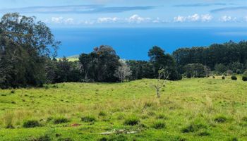 0 N/A Road  Ookala, Hi vacant land for sale - photo 4 of 16