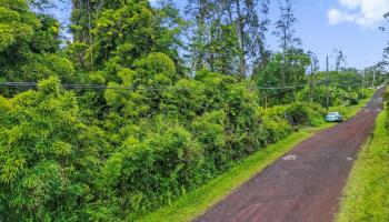 NA Tangerine Drive Lot 39 Pahoa, Hi vacant land for sale - photo 2 of 6