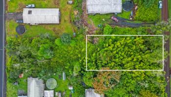 NA Tangerine Drive Lot 39 Pahoa, Hi vacant land for sale - photo 3 of 6