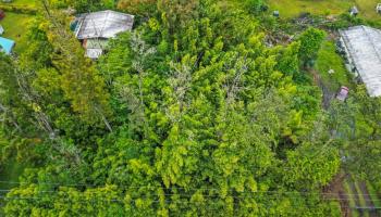 NA Tangerine Drive Lot 39 Pahoa, Hi vacant land for sale - photo 4 of 6