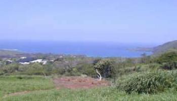 0 Napoopoo Road  Captain Cook, Hi vacant land for sale - photo 1 of 1