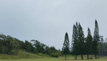 201506036 Kahuku,  ,Hi  - land