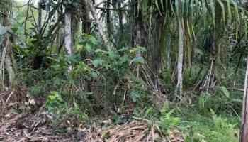 0 S Ono Sts Pahoa, Hi vacant land for sale - photo 3 of 4 0 S Ono Sts Pahoa, Hi vacant land for sale - photo 3 of 4