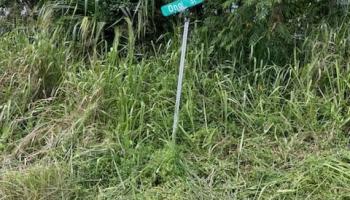 0 S Ono Sts Pahoa, Hi vacant land for sale - photo 4 of 4 0 S Ono Sts Pahoa, Hi vacant land for sale - photo 4 of 4