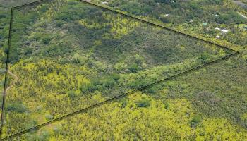 0 Pahoa Kalapana Rd  Pahoa, Hi vacant land for sale - photo 3 of 17