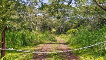 0 Pahoa Kalapana Rd  Pahoa, Hi vacant land for sale - photo 6 of 17