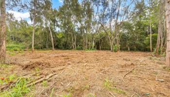 Parcel 49 Alapio Road  Haleiwa, Hi vacant land for sale - photo 5 of 19