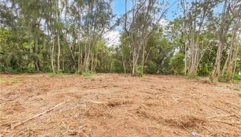 Parcel 49 Alapio Road  Haleiwa, Hi vacant land for sale - photo 6 of 19