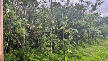 0 Pohakupele Loop  Pahoa, Hi vacant land for sale - photo 3 of 10