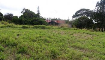 0 Puunana Street D-071 Maunaloa, Hi vacant land for sale - photo 3 of 7