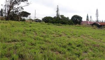 0 Puunana Street D-071 Maunaloa, Hi vacant land for sale - photo 4 of 7