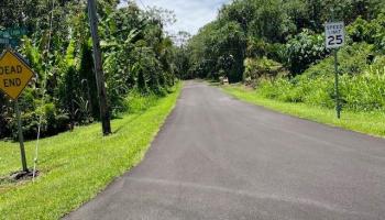 S Puni Lapa Loop  Pahoa, Hi vacant land for sale - photo 2 of 7