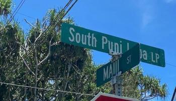 S Puni Lapa Loop  Pahoa, Hi vacant land for sale - photo 4 of 7