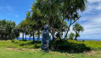 S Puni Lapa Loop  Pahoa, Hi vacant land for sale - photo 5 of 7