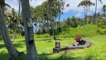 S Puni Lapa Loop  Pahoa, Hi vacant land for sale - photo 6 of 7