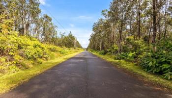 tbd Mokuna Street  Volcano, Hi vacant land for sale - photo 3 of 25