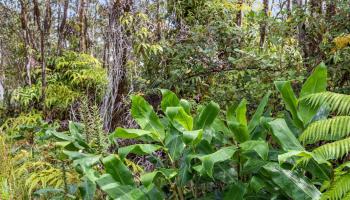 tbd Mokuna Street  Volcano, Hi vacant land for sale - photo 5 of 25