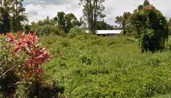 0 Waiwai Pl  Captain Cook, Hi vacant land for sale - photo 1 of 3