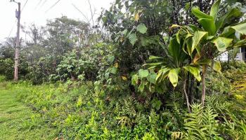 0 Wehelauniu St  Pahoa, Hi vacant land for sale - photo 1 of 10
