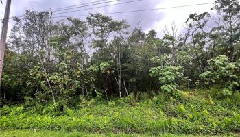 0 WEHELAUNIU Street  Pahoa, Hi vacant land for sale - photo 3 of 10