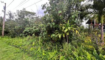 0 WEHELAUNIU Street  Pahoa, Hi vacant land for sale - photo 4 of 10