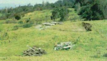 XXX Waiakaalulu Road  , Hi vacant land for sale - photo 1 of 1