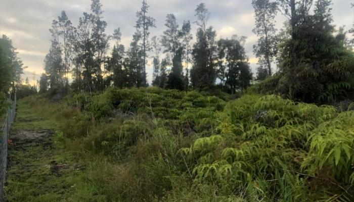 00 Kaleponi Street  Volcano, Hi vacant land for sale - photo 1 of 11