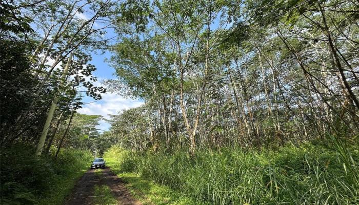 00 Pikake Road  Pahoa, Hi vacant land for sale - photo 1 of 1