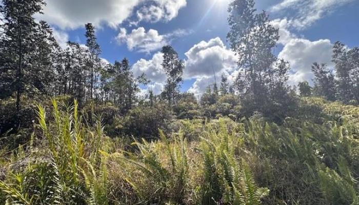 0000 Bamboo Drive  Pahoa, Hi vacant land for sale - photo 1 of 1