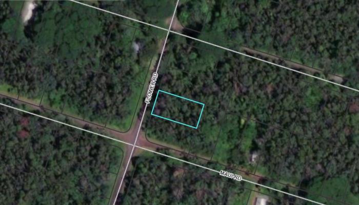 0000 Flower Road  Pahoa, Hi vacant land for sale - photo 1 of 1