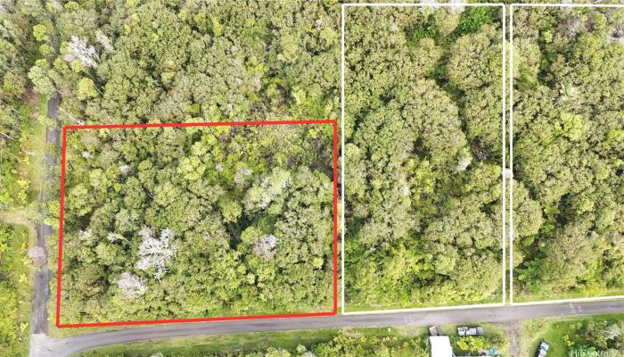 11-1733 Punawai Ave  Mountain View, Hi vacant land for sale - photo 1 of 4