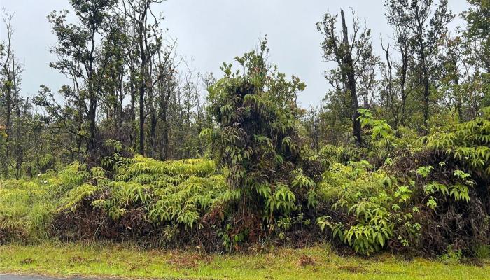 11-2683 Ala Kapena Rd  Volcano, Hi vacant land for sale - photo 1 of 6