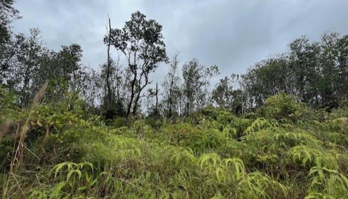 11-2860 Apuakehau Road  Volcano, Hi vacant land for sale - photo 1 of 1