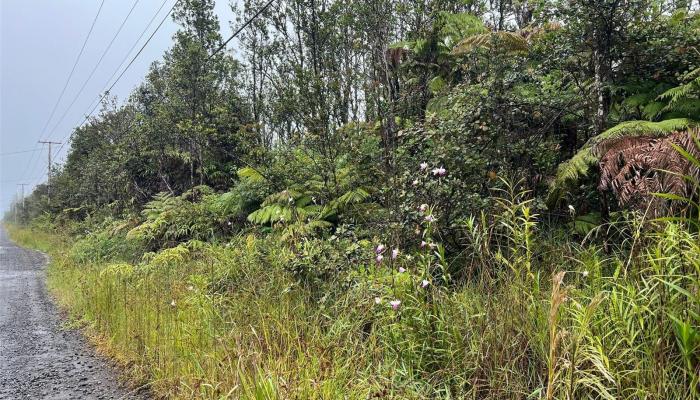 11-2862 Kaleponi Rd  Volcano, Hi vacant land for sale - photo 1 of 7