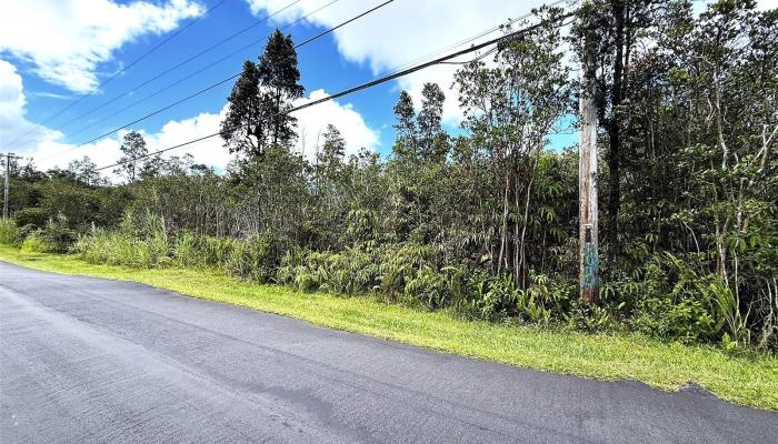11-2946 Lehua Street 2946 Mountain View, Hi vacant land for sale - photo 1 of 6