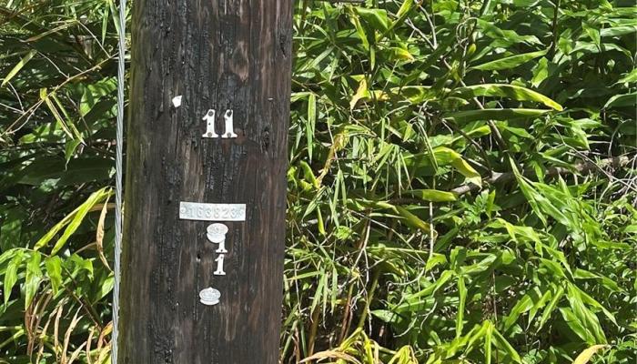 115 Kuhio Drive  Pahoa, Hi vacant land for sale - photo 1 of 1