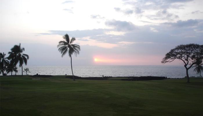 1163 13th Ave  Keaau, Hi vacant land for sale - photo 1 of 11