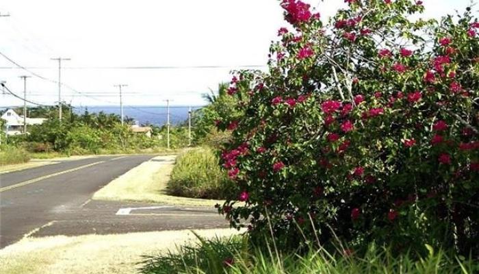 12-217 Mapuana Ave  Pahoa, Hi vacant land for sale - photo 1 of 1