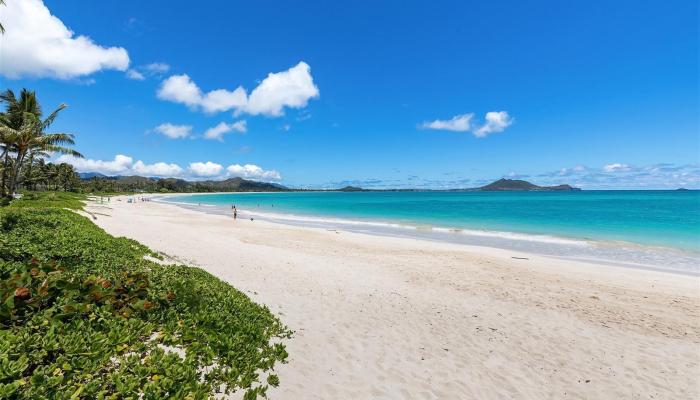 146  Kalaheo Ave Beachside, Kailua home - photo 1 of 1