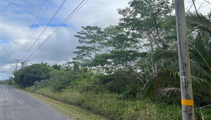 15-1590 17th Ave  Keaau, Hi vacant land for sale - photo 1 of 6