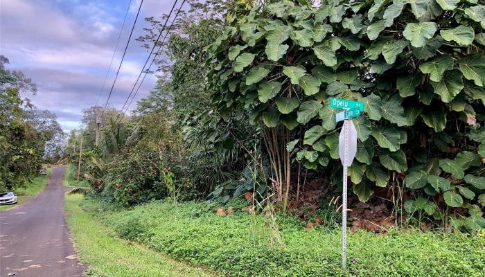 15-2782 Opelu Street  Pahoa, Hi vacant land for sale - photo 1 of 1