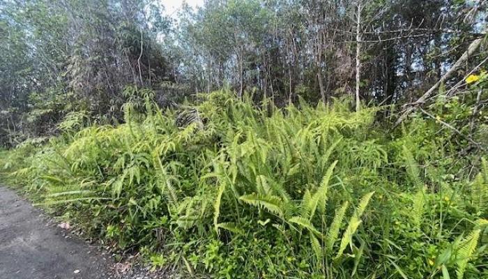 16-1143 Pulelehua Road  Kurtistown, Hi vacant land for sale - photo 1 of 1