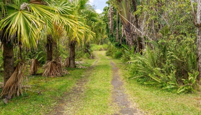 16-1530  36th Ave Orchid Land Est, Puna home - photo 1 of 25