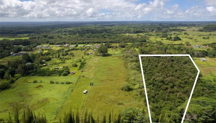 17-4531 South Road  Kurtistown, Hi vacant land for sale - photo 1 of 10