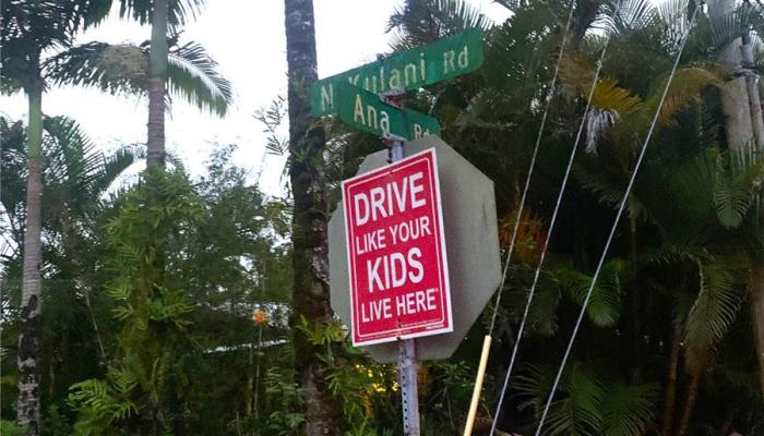 18-7860 Kulani Road  Mountain View, Hi vacant land for sale - photo 1 of 1