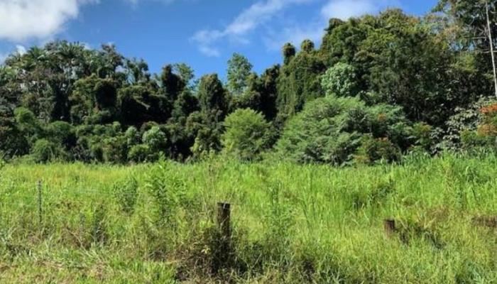 2 Kawainui Road  Kailua Kona, Hi vacant land for sale - photo 1 of 1