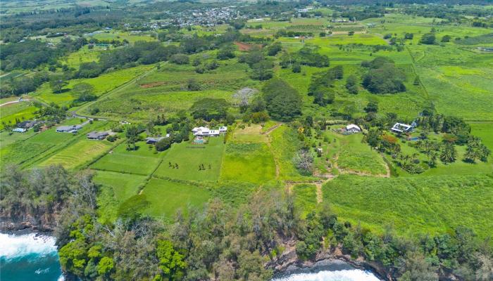 28-1168 Loa Road  Pepeekeo, Hi vacant land for sale - photo 1 of 13