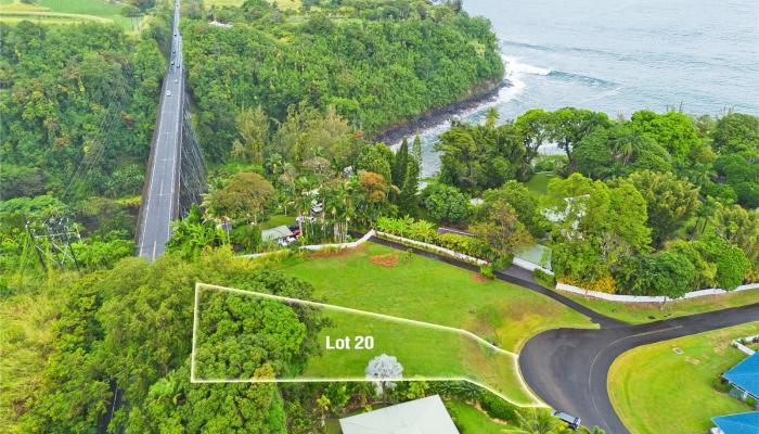 29-2291 Hanamalo Loop  Hakalau, Hi vacant land for sale - photo 1 of 9