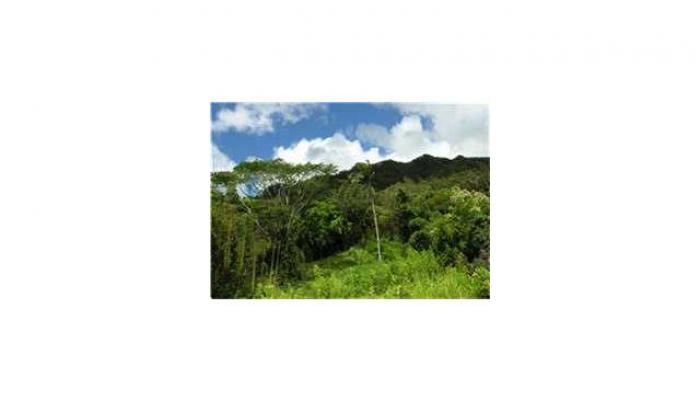 31 Niniko Pl  Honolulu, Hi vacant land for sale - photo 1 of 1